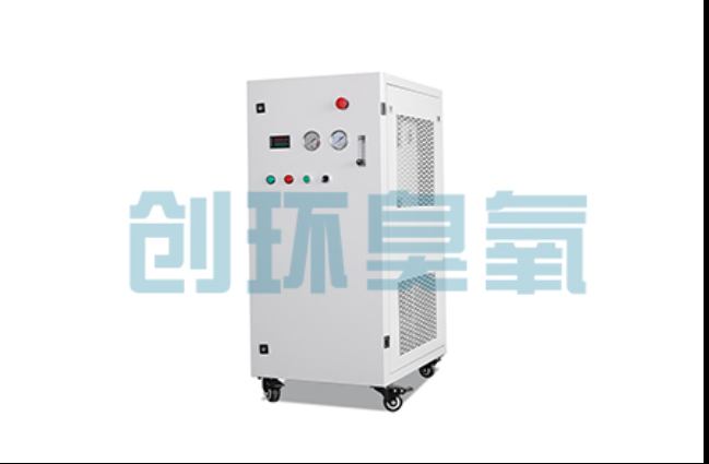 抚顺工厂化养鲈必看:2026年臭氧发生器替代传统消毒的最新方案