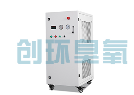 抚顺石斑鱼养殖水质调控完整指南:臭氧发生器配置与操作步骤